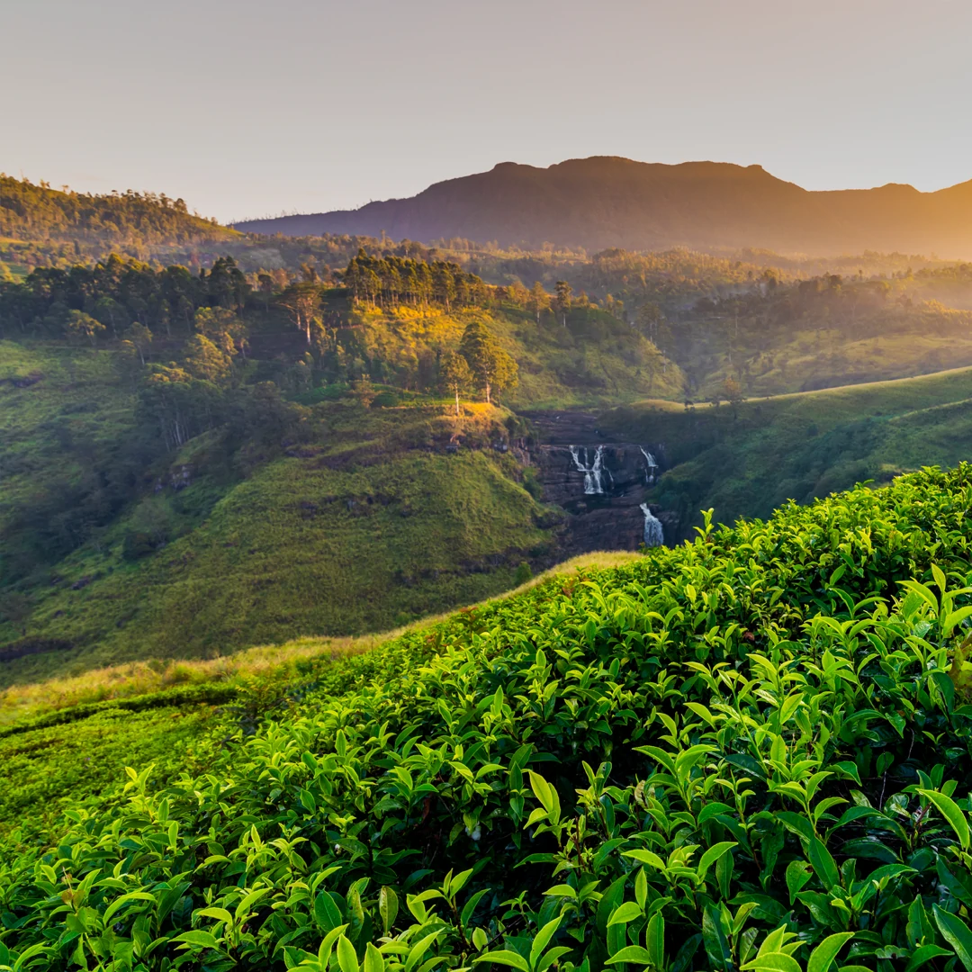 Explore Sri Lanka
